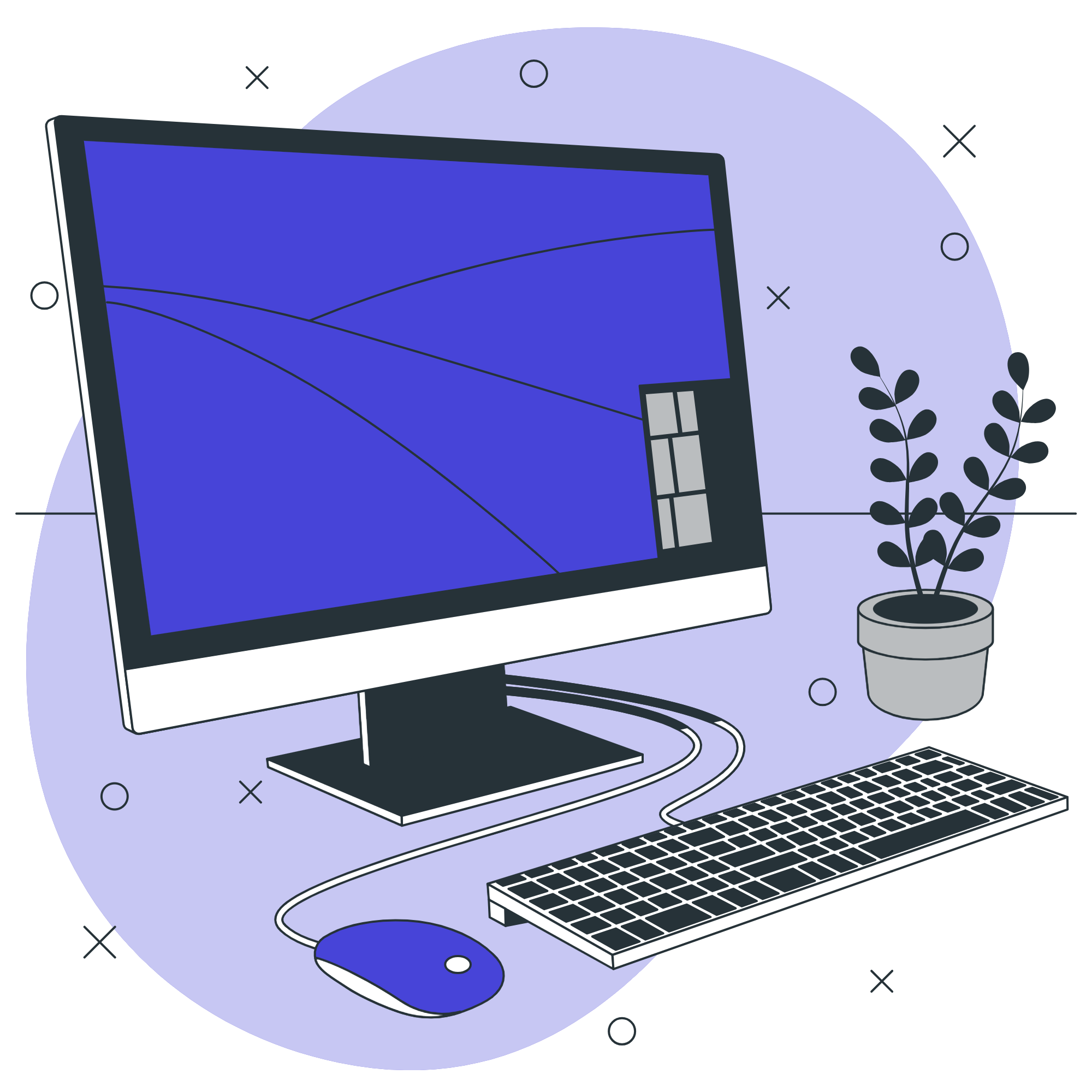 Enterprise Software Solutions